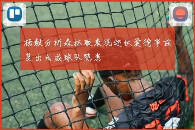 杨毅分析森林狼表现起伏爱德华兹复出或成球队隐患