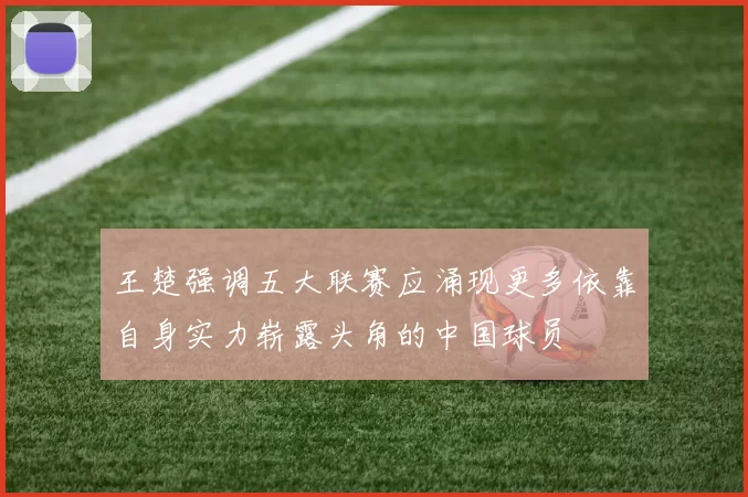 王楚强调五大联赛应涌现更多依靠自身实力崭露头角的中国球员
