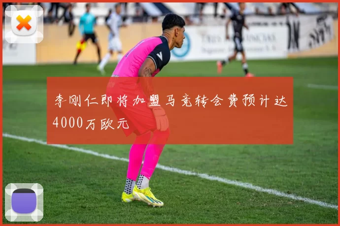 李刚仁即将加盟马竞转会费预计达4000万欧元